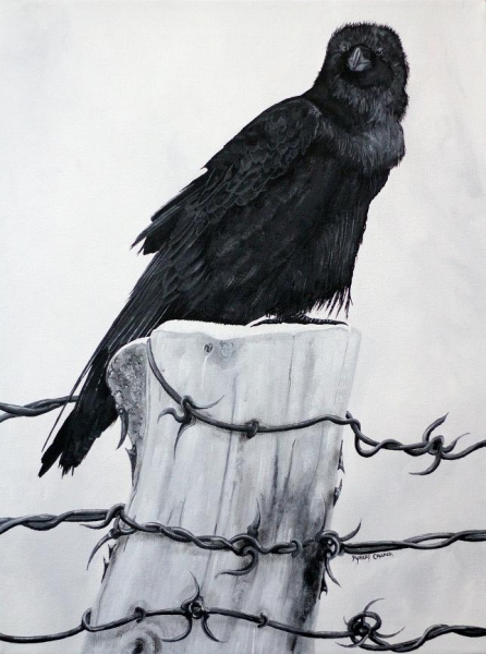Click here to view Raven on a Post by ROBERT CROOKER ART 